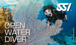 Základní potápěčský kurz Open Water Diver
