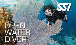 OWD - Open Water Diver