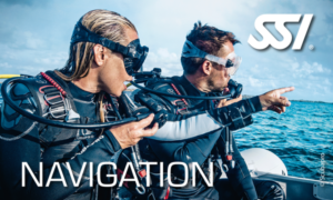 SSI Navigation - Navigace