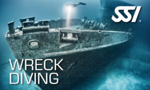 Wreck Diving