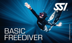 SSI Basic Freediver