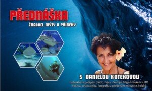 Přednáška: Žraloci - mýty a příběhy (26.11.2025)