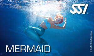 SSI Mermaid