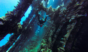 Egypt: Severní vrakové safari (18.4.-25.4.2026)
