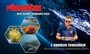 Přednáška: Blue Oceans - korálové útesy