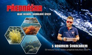Přednáška: Blue Oceans - korálové útesy
